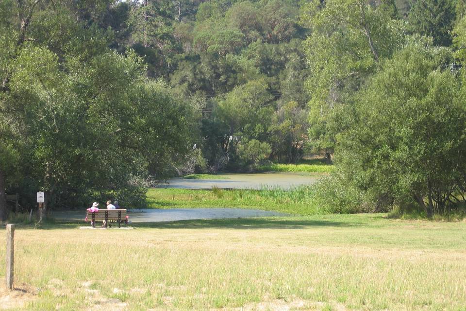 Santa Cruz County Parks