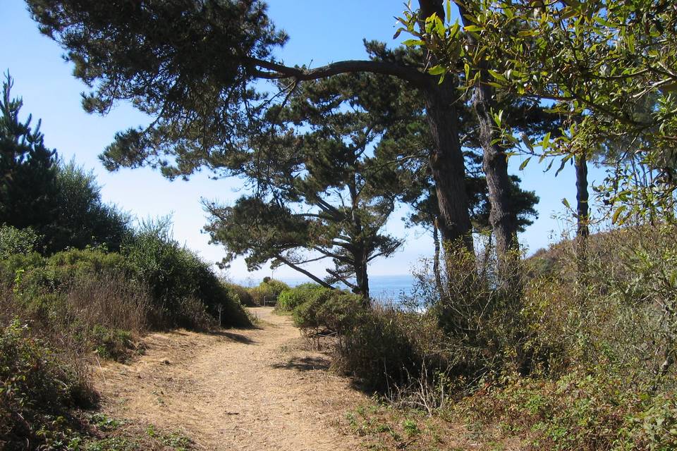 Santa Cruz County Parks