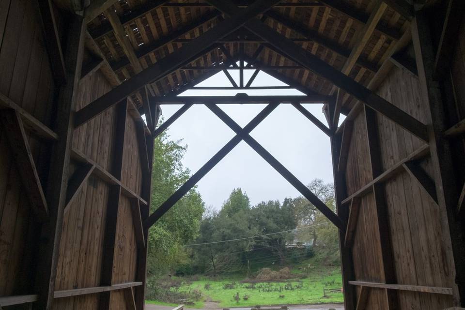 Featured:Felton Covered Bridge