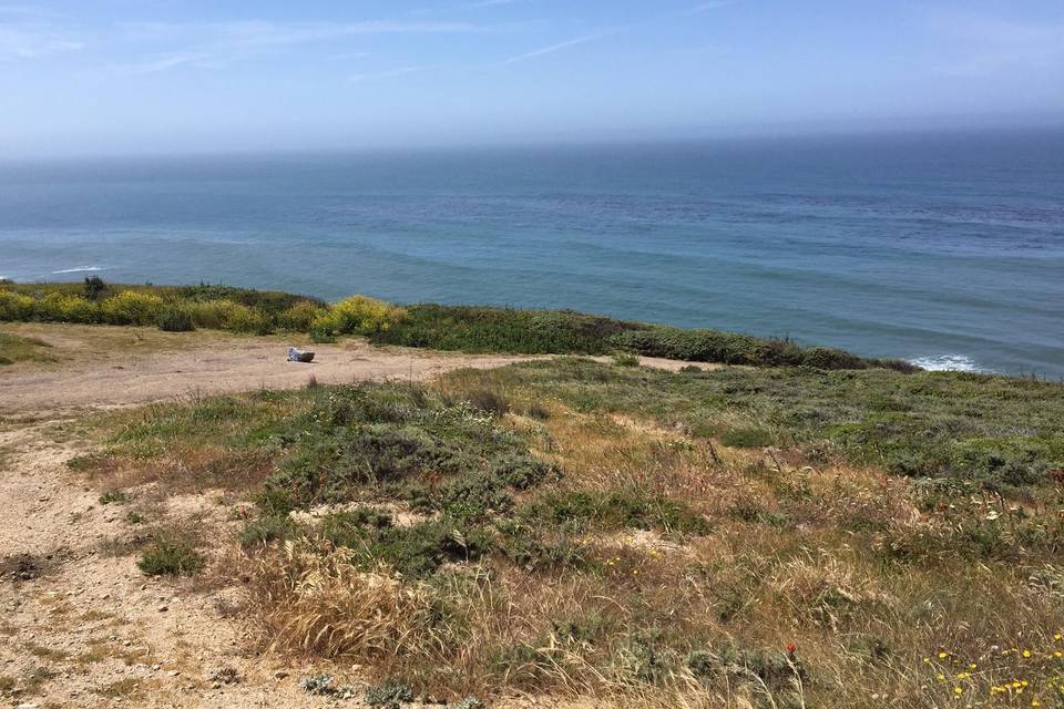 Santa Cruz County Parks