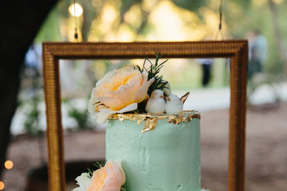 Kara Donovan Photography
