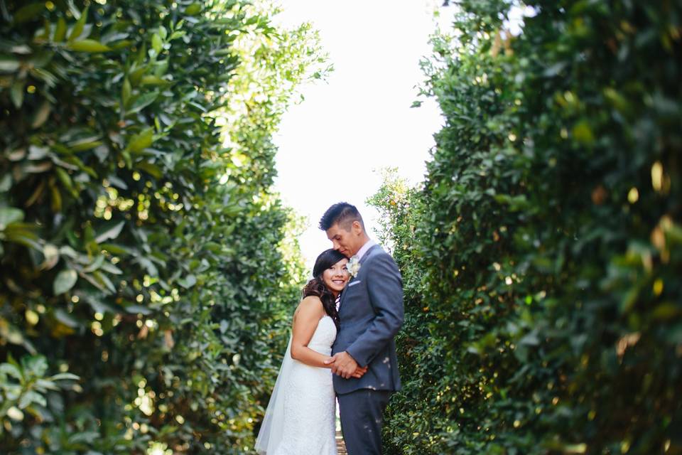 Kara Donovan Photography