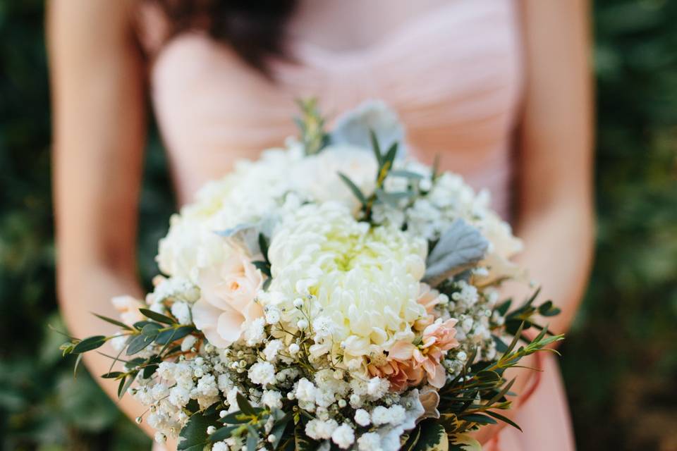 Kara Donovan Photography