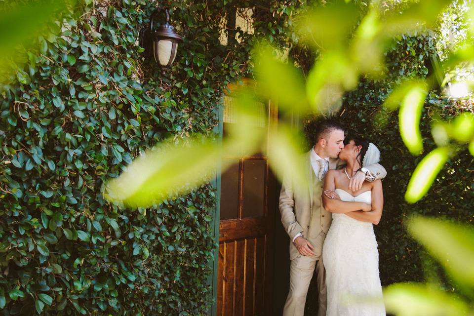 Kara Donovan Photography