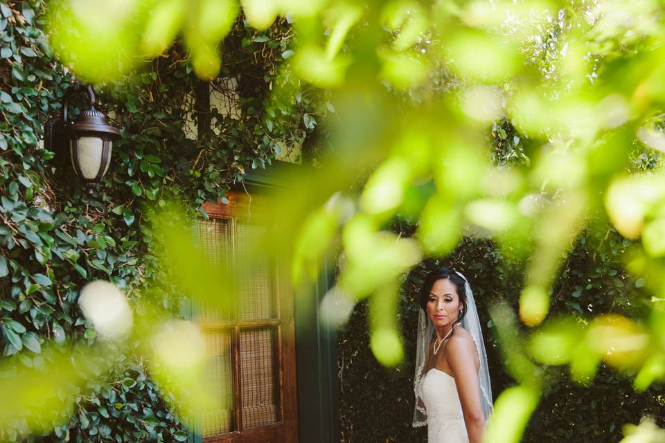 Kara Donovan Photography