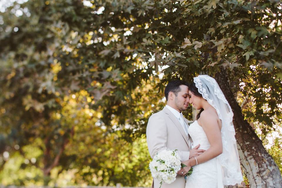 Kara Donovan Photography