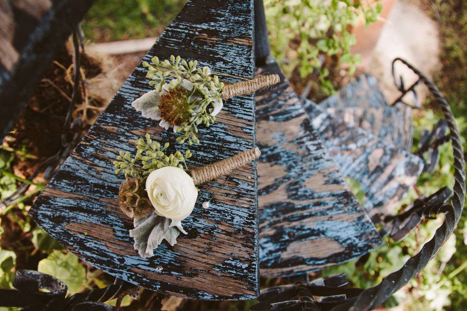 Kara Donovan Photography