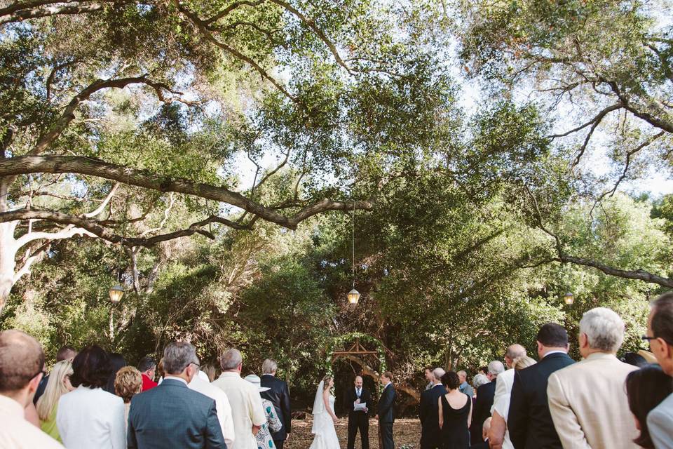 Kara Donovan Photography