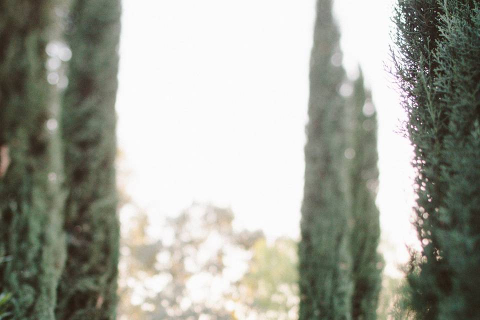Kara Donovan Photography