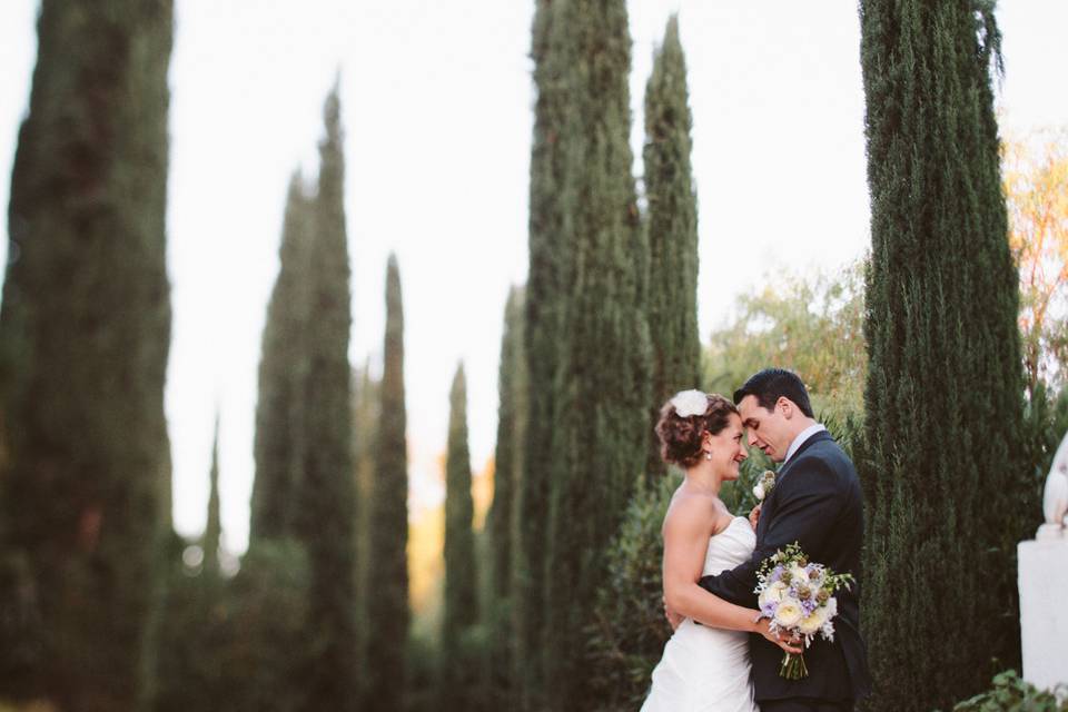 Kara Donovan Photography