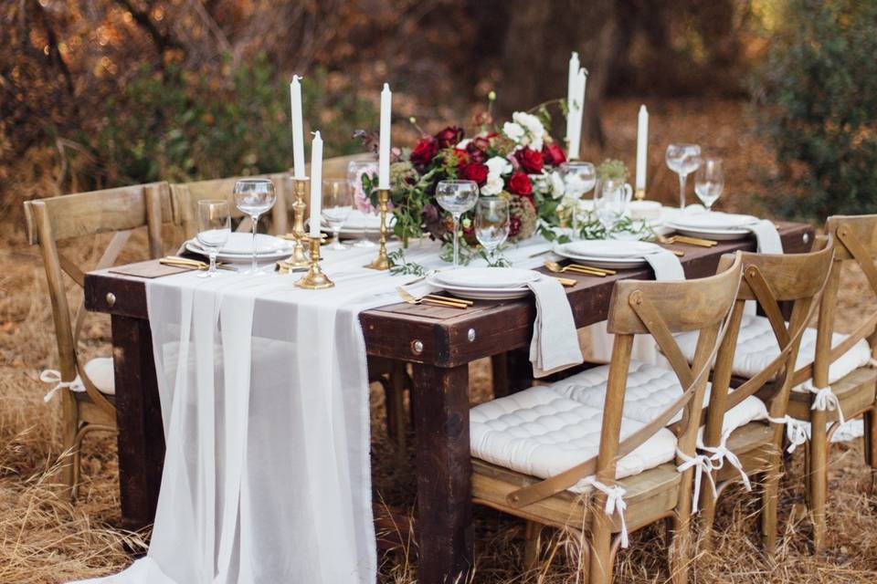 Kara Donovan Photography