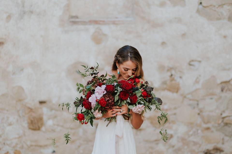 Kara Donovan Photography