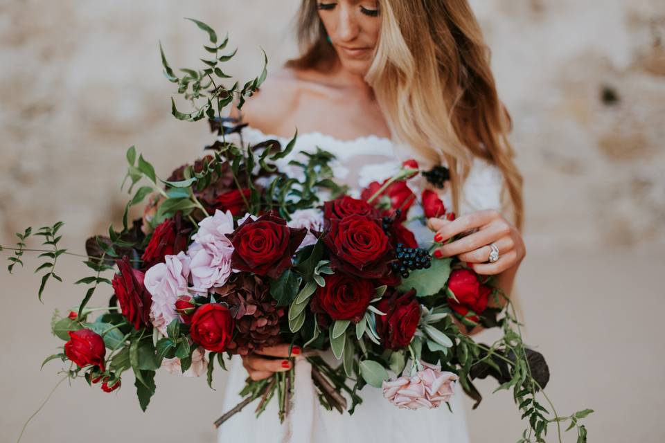 Kara Donovan Photography