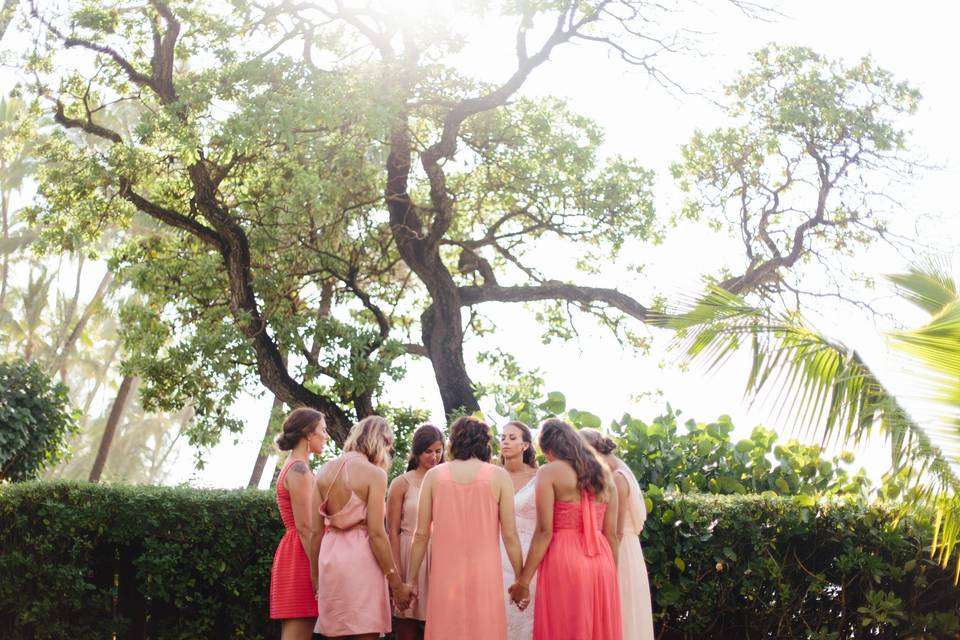 Kara Donovan Photography