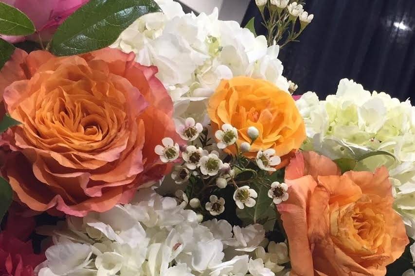 Orange roses make a statement