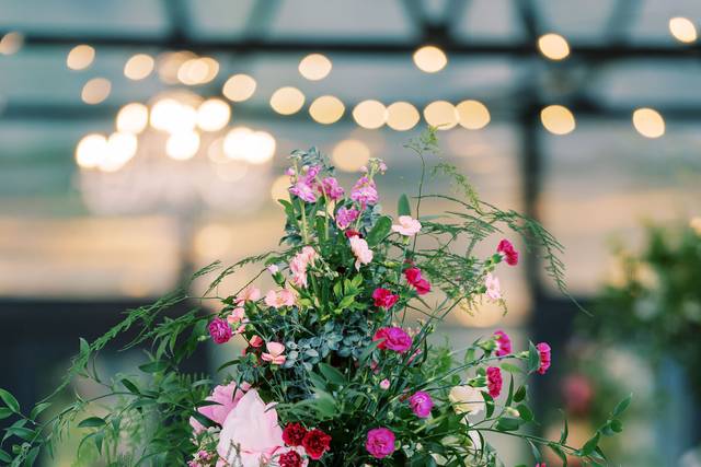 The Conservatory