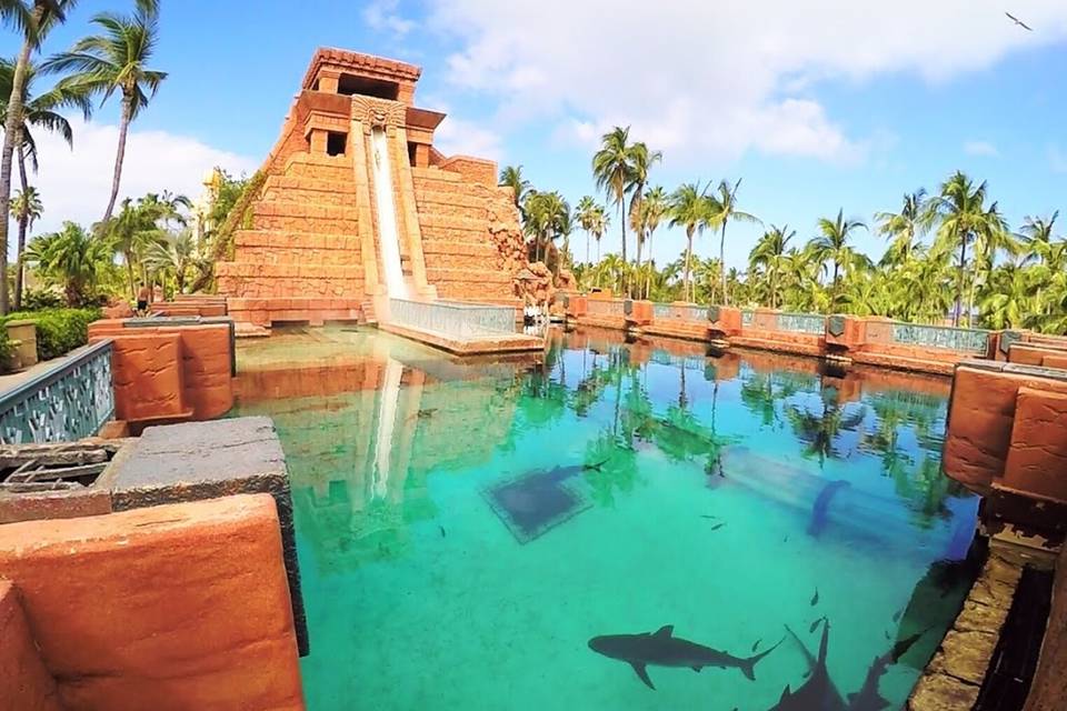 Destination MAGIC Travel Co