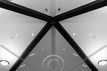 Rolux Photography