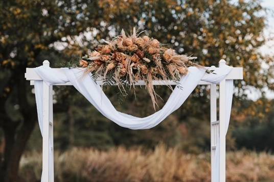 Dried/ Preserved Arbor