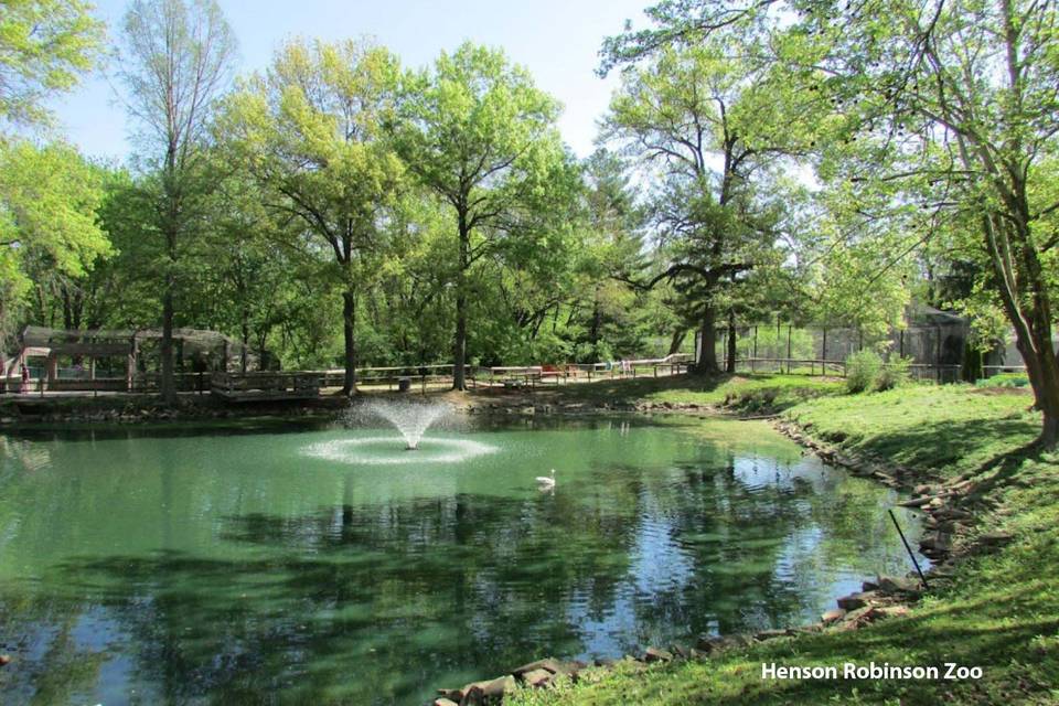 Henson Robinson Zoo