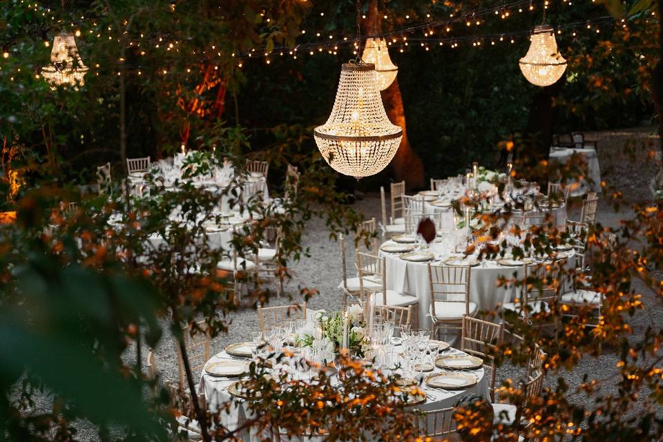 Enchanted forest dinner