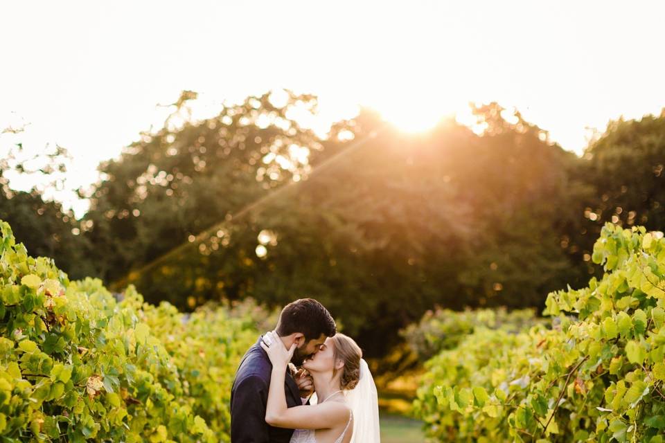 The Vineyards at Chappel Lodge