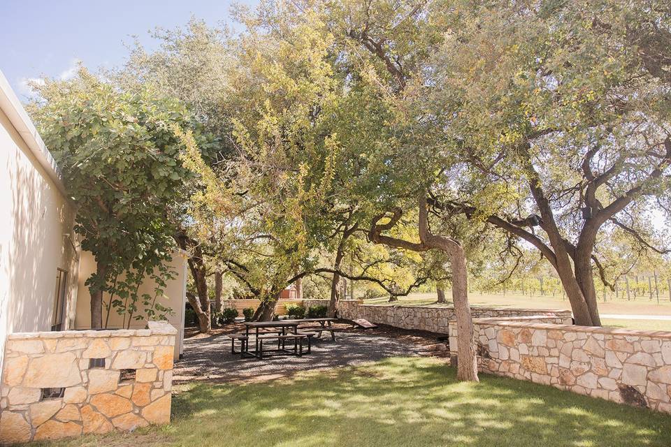 Pergola and rose bushes