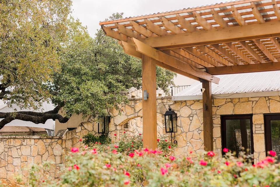 Pergola and rose bushes