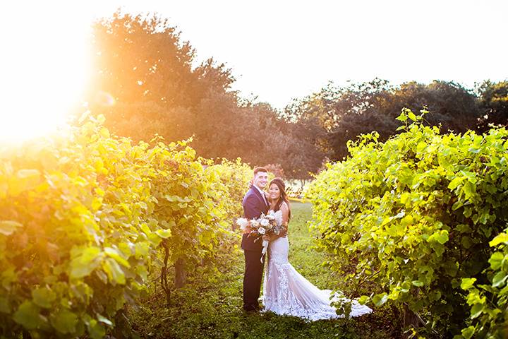 The Vineyards at Chappel Lodge