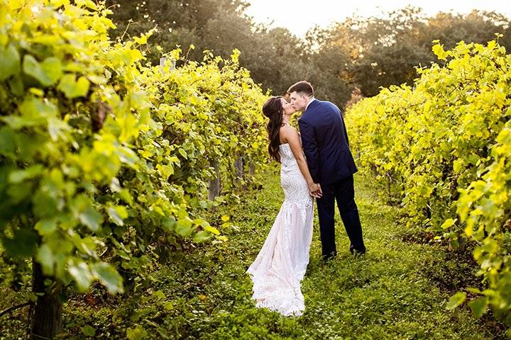 The Vineyards at Chappel Lodge