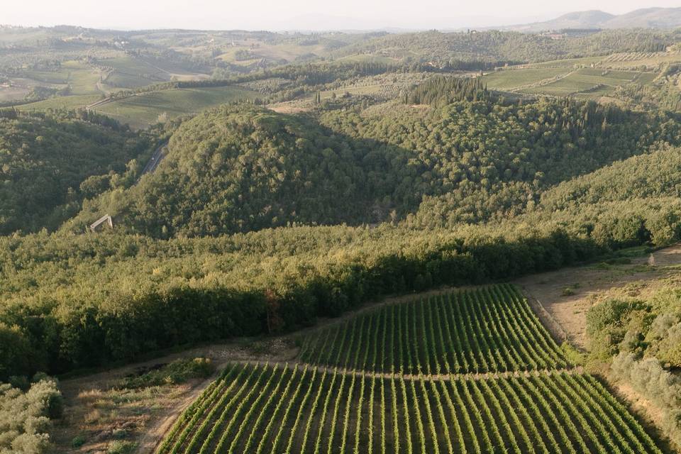 Groom Tuscany