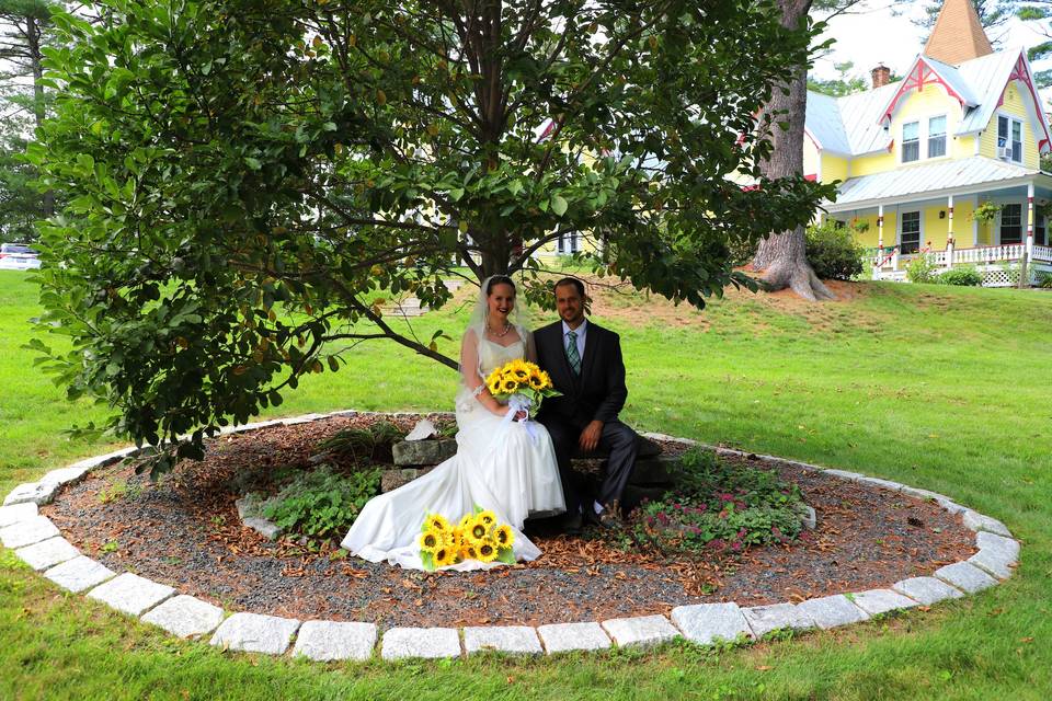 Under the magnolia tree