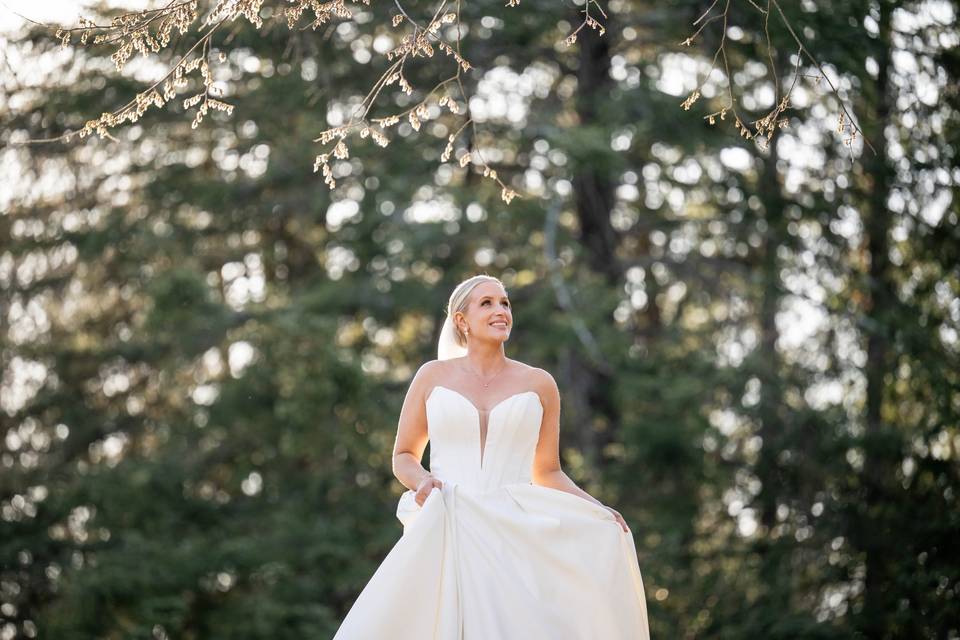 Bellagala | Pittsburgh