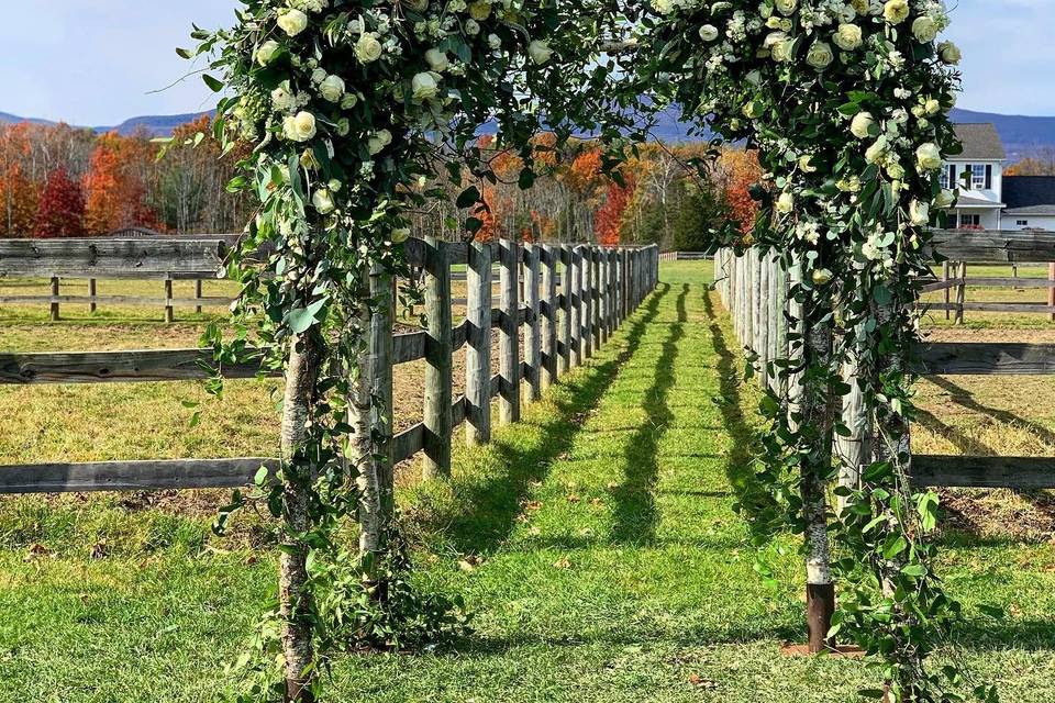 Wedding Arch