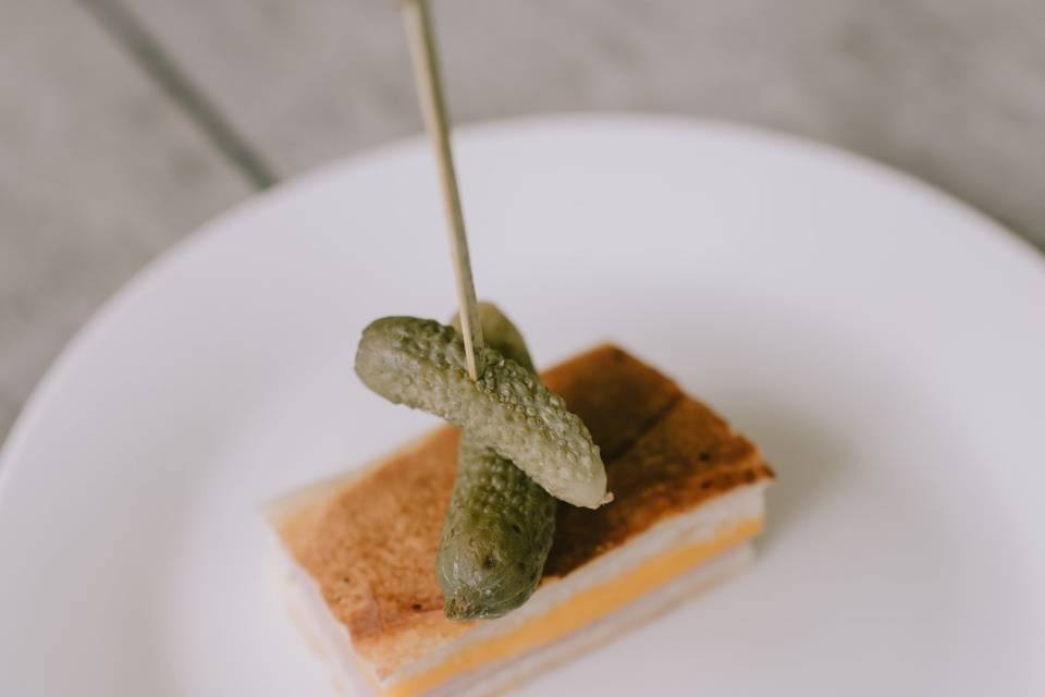 Panini
