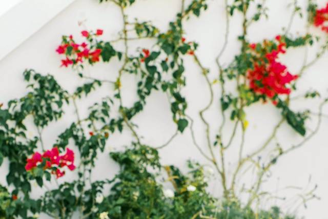 Details Wedding Co.