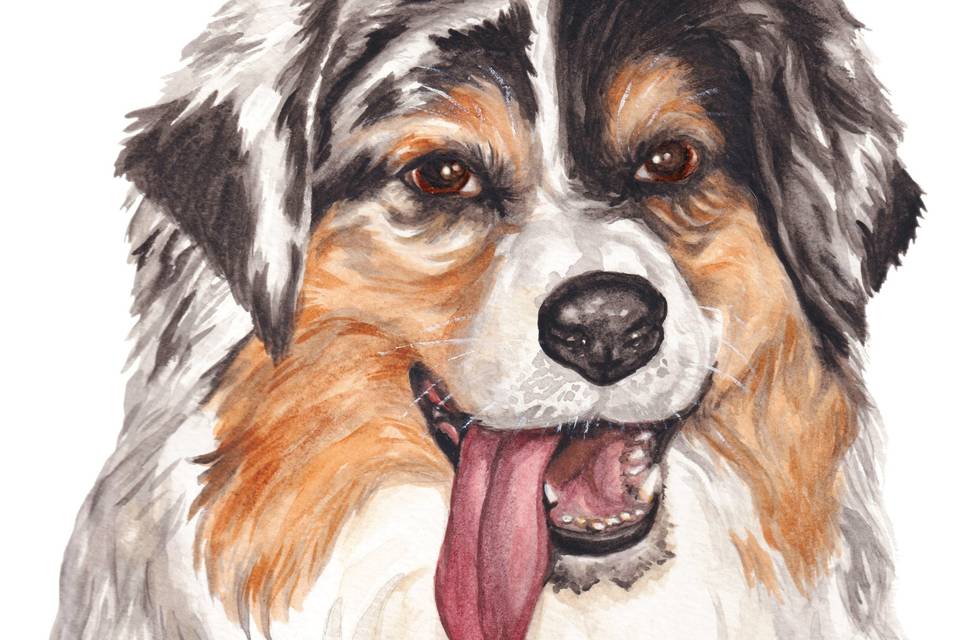 Custom Pet Portrait