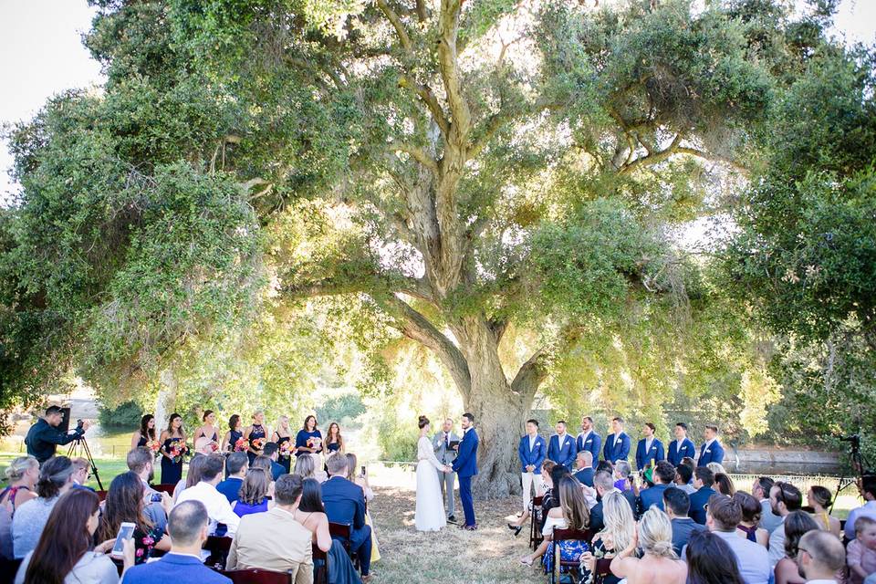 (c) Kristina Lee Photography
