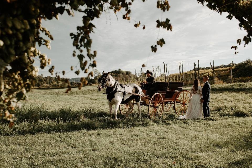 Hop field Ceremony