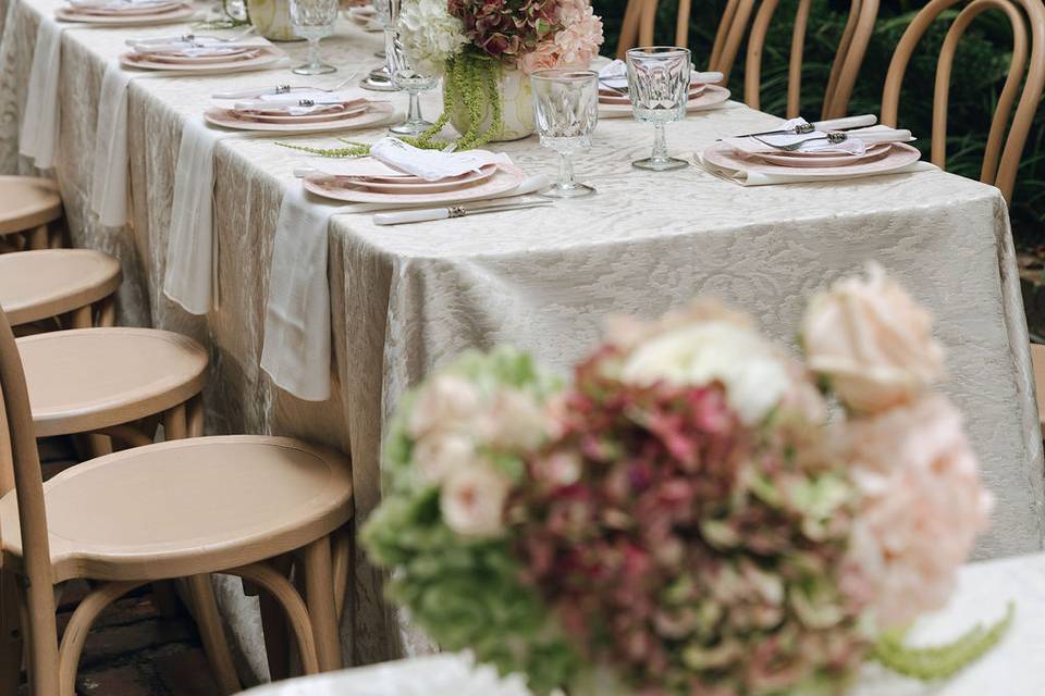 Mercedes Smith Photography