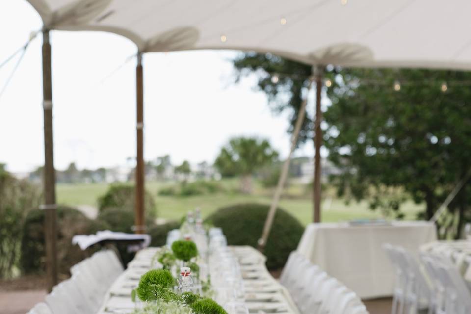 Tablescape