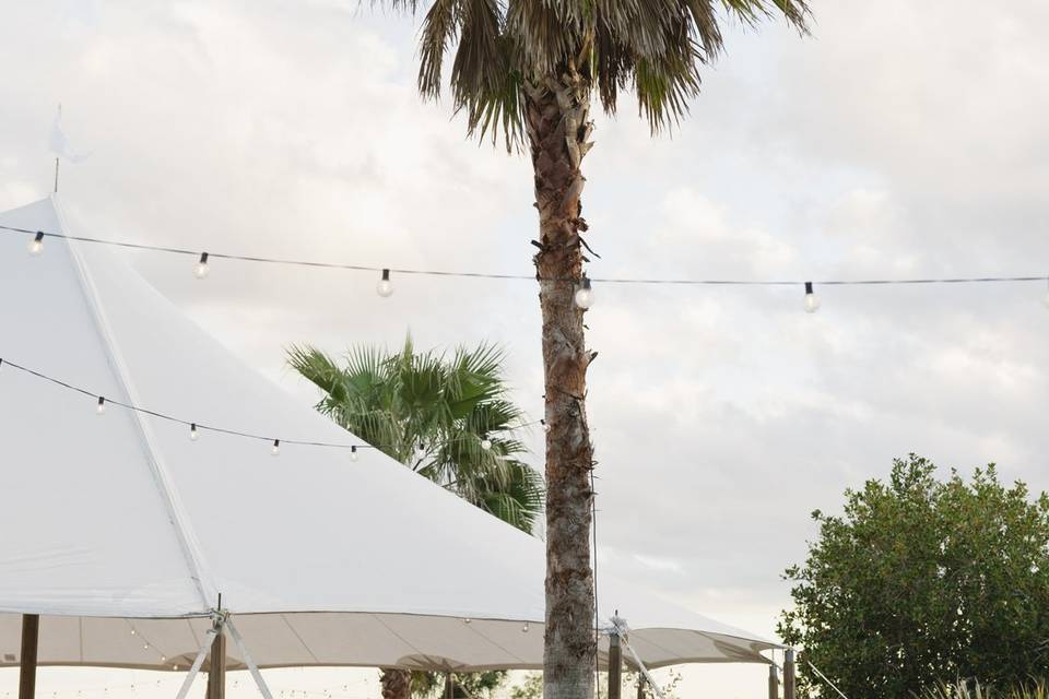 Sailcloth