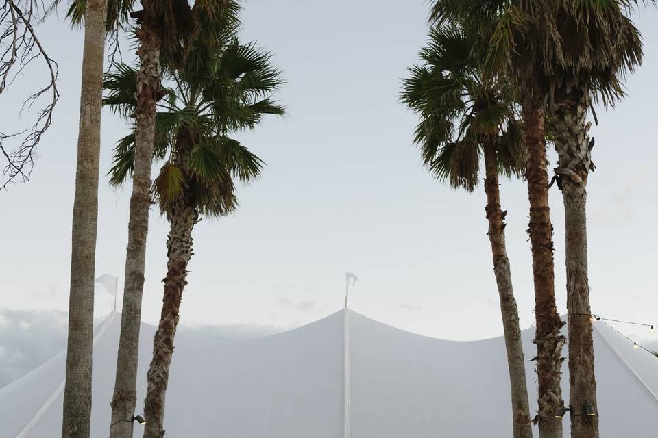 Love a sailcloth!