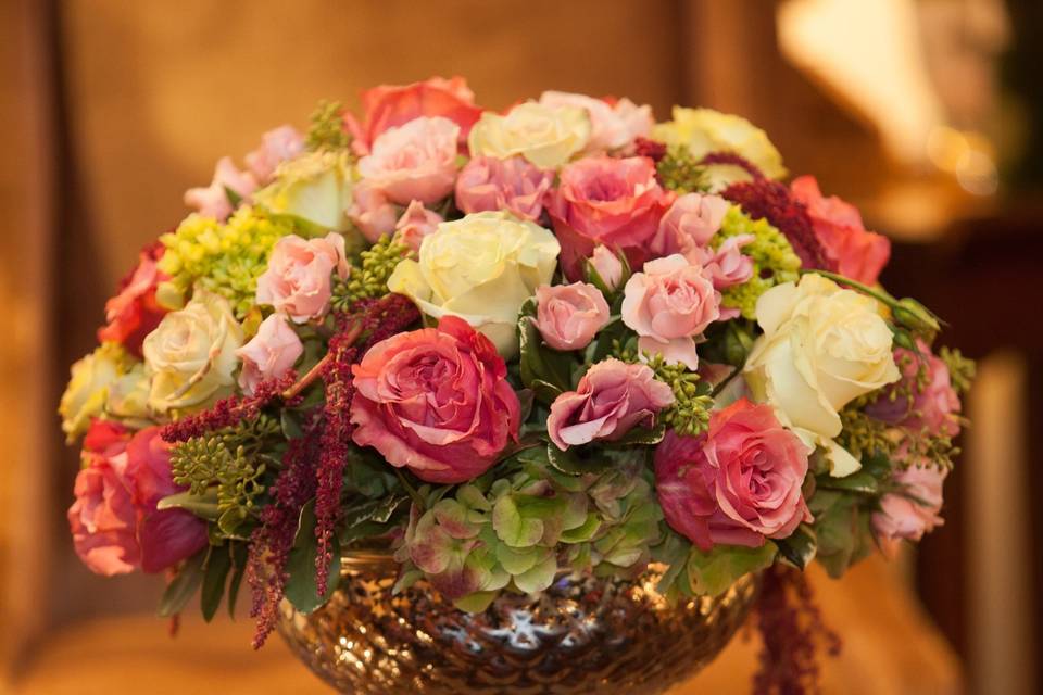 Amaranthus on Main
