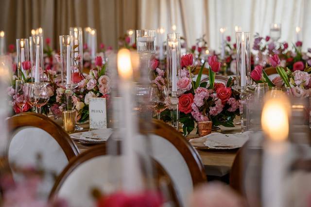 JunePlumm Events