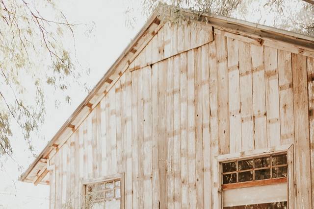 Arizona Wedding