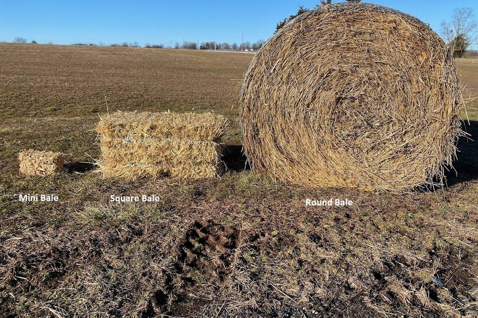 Hay sizes