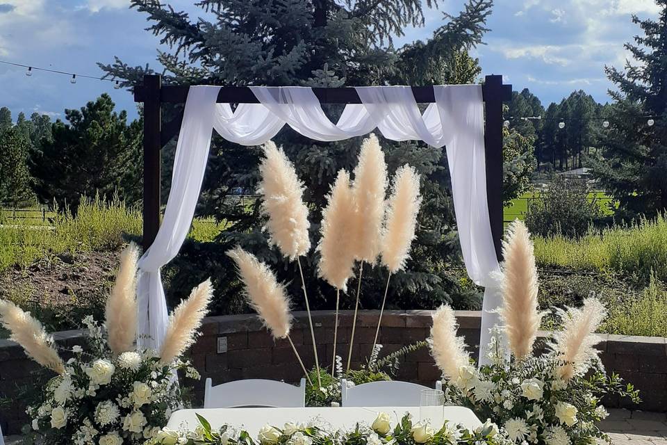 Pampas grass arch