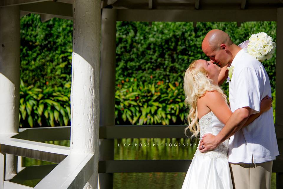 Lisa Rose Photography