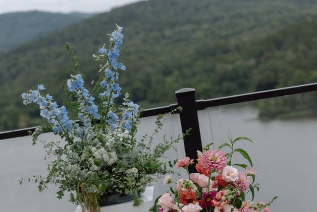 Color blocked florals